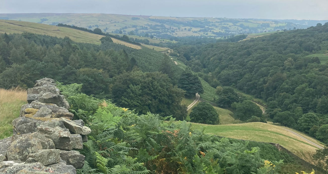 Walk the Nidderdale Way
