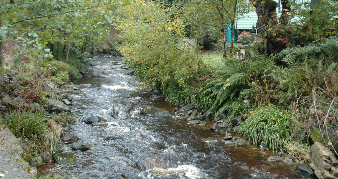 Situated alongside Foster Beck